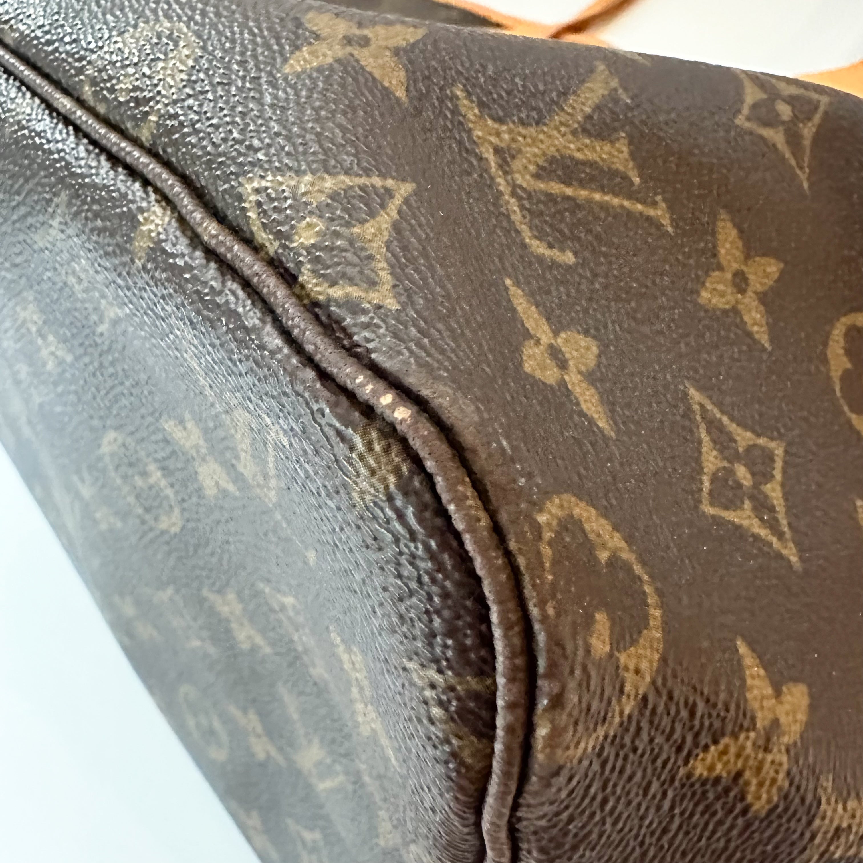 Louis Vuitton Monogram Neo Neverfull GM