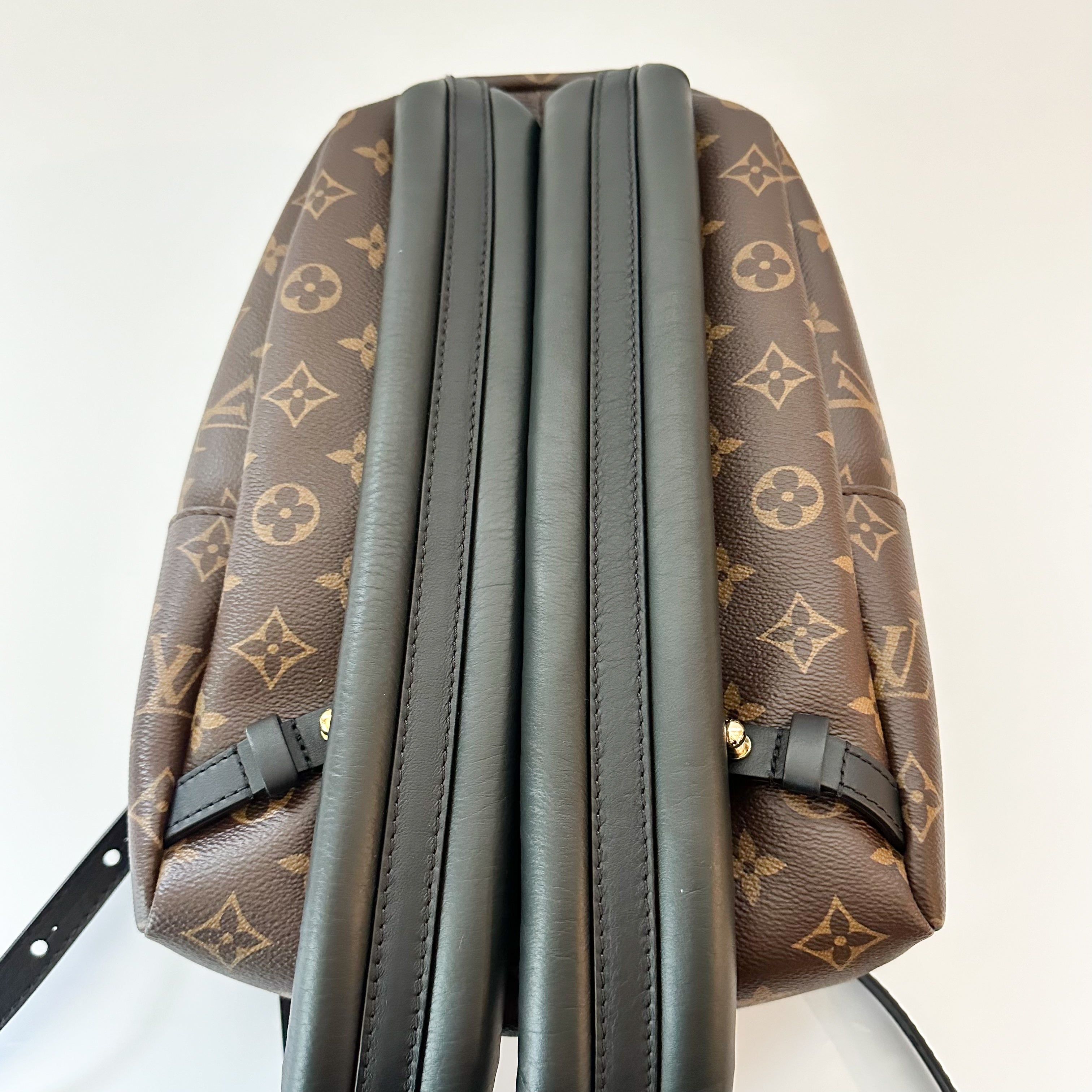 Louis Vuitton Palm Springs Backpack PM