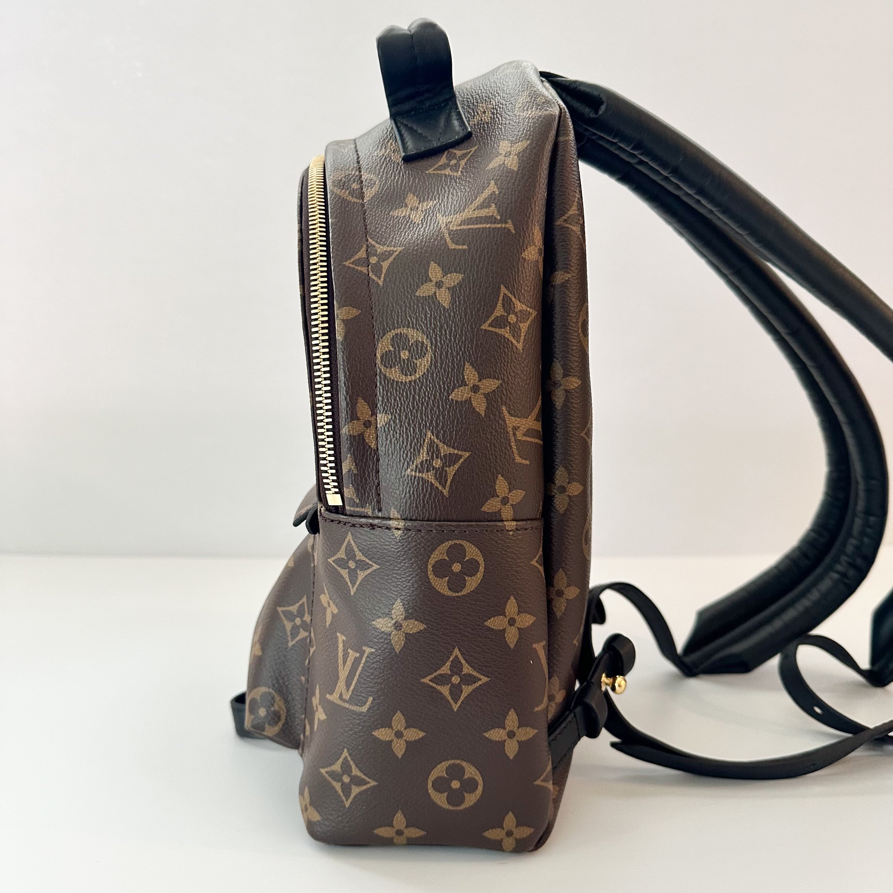 Louis Vuitton Palm Springs Backpack PM