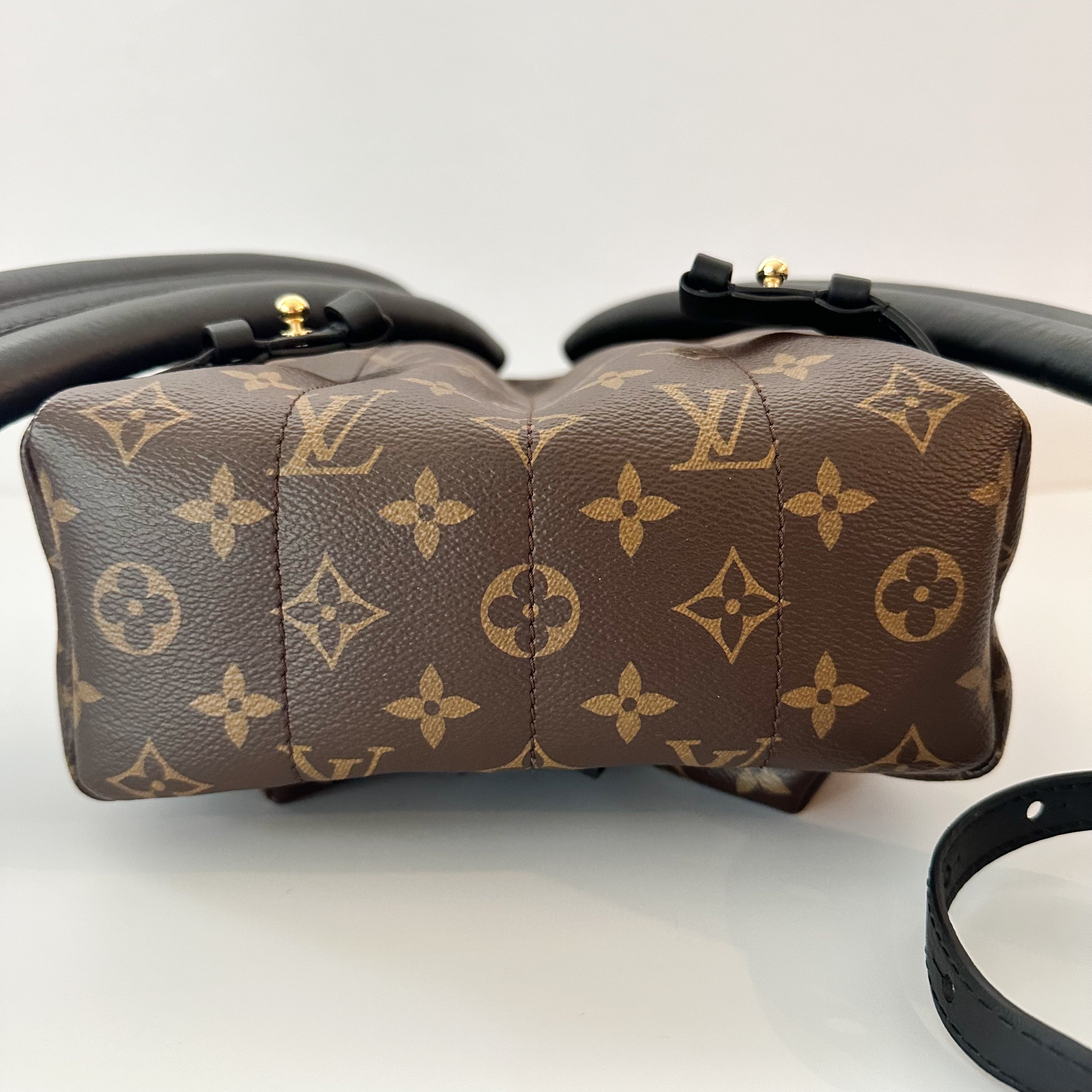 Louis Vuitton Palm Springs Backpack PM