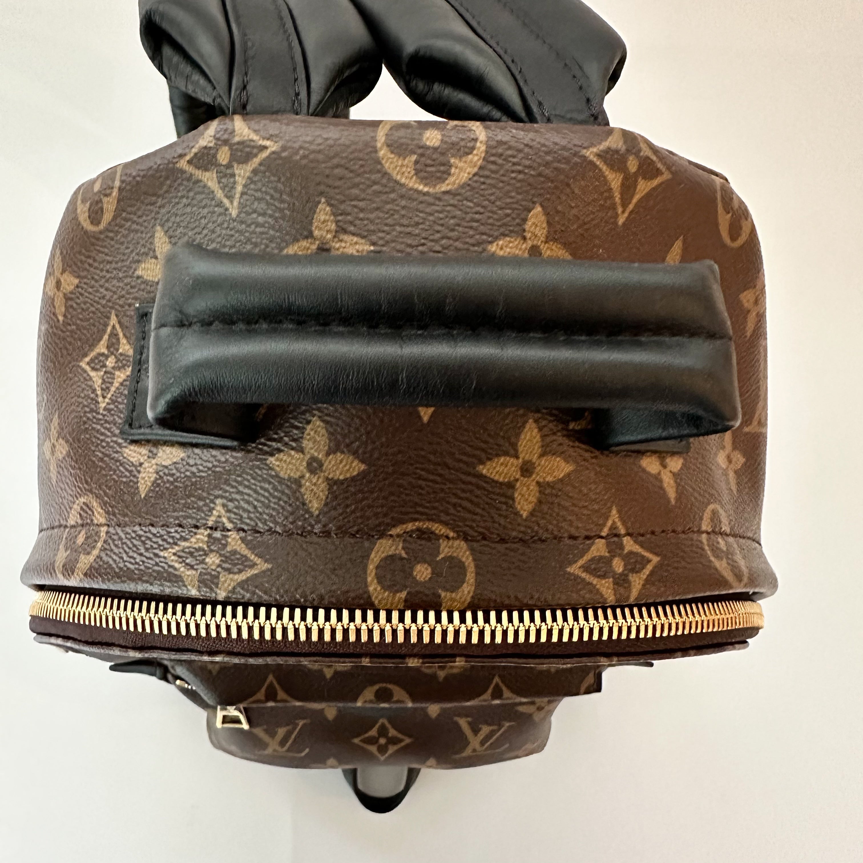 Louis Vuitton Palm Springs Backpack PM