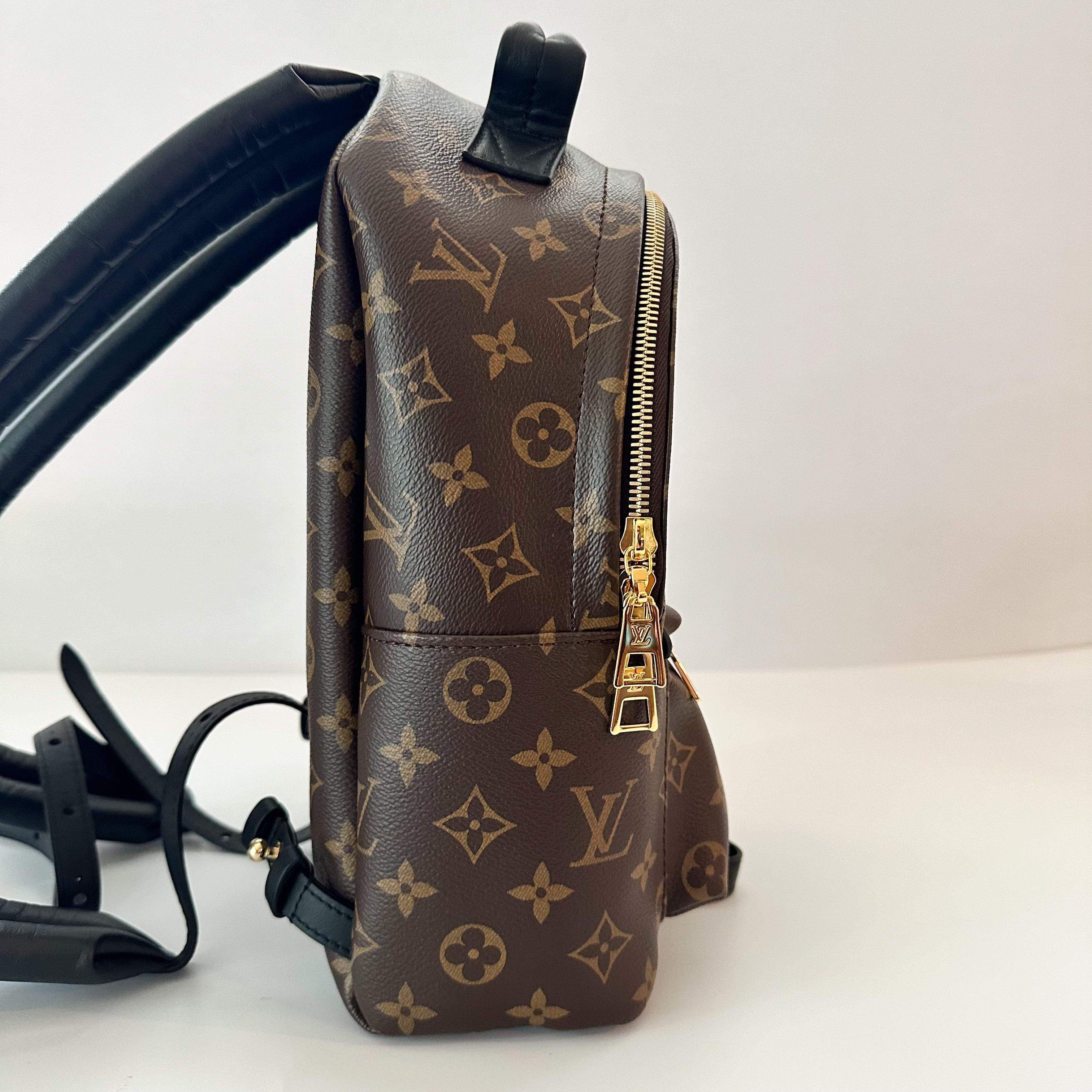 Louis Vuitton Palm Springs Backpack PM